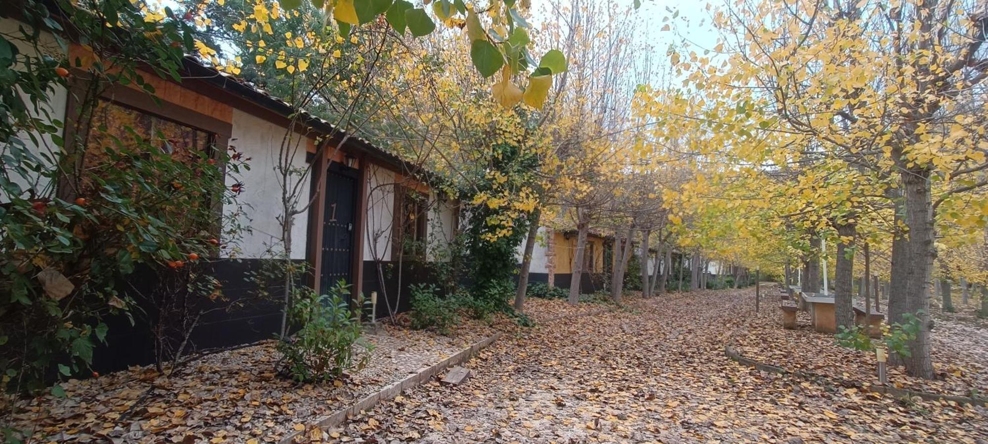 Casas Rurales Vado Del Rio Tus Кортихо-Прадос Экстерьер фото