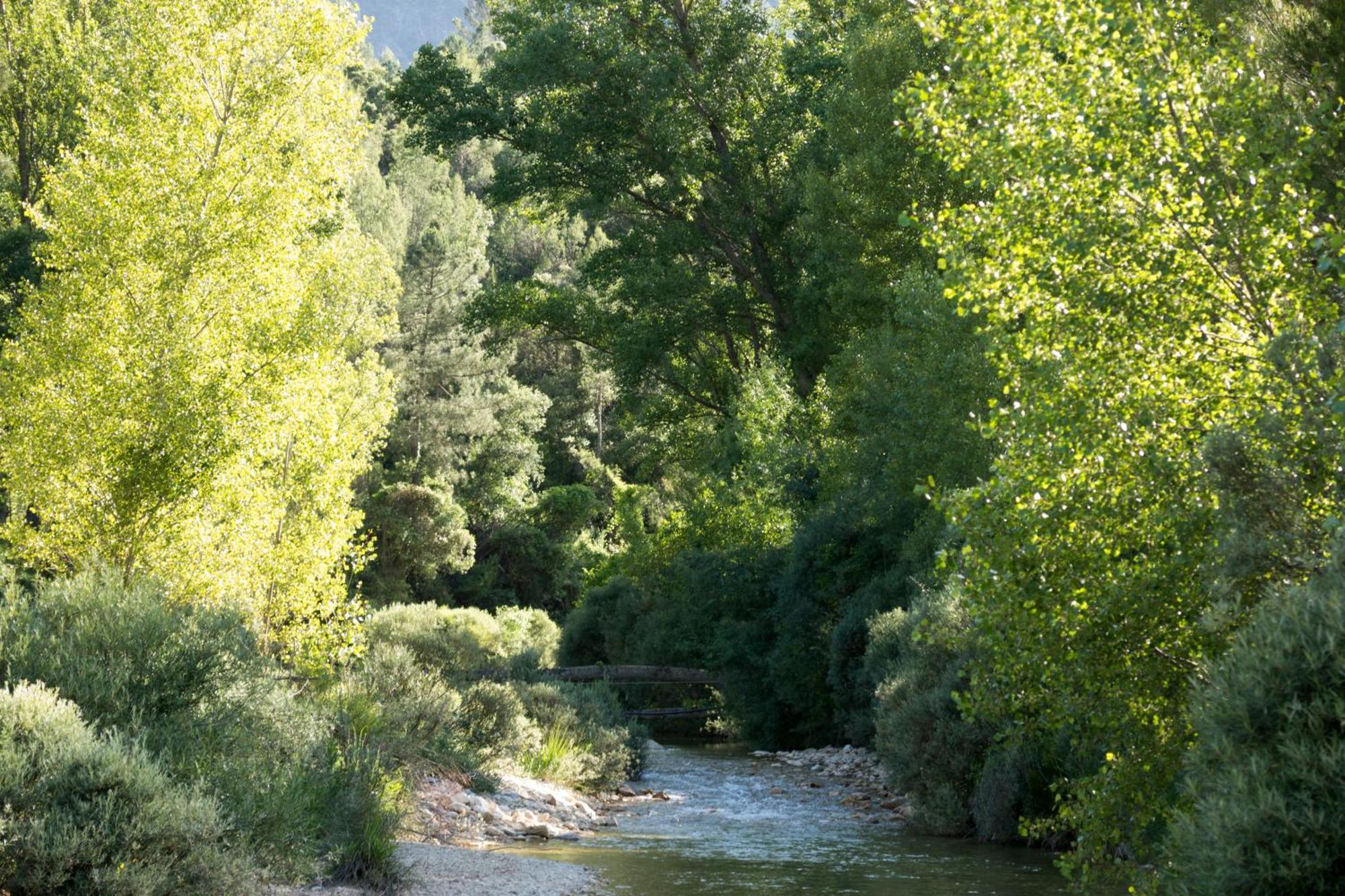 Casas Rurales Vado Del Rio Tus Кортихо-Прадос Экстерьер фото