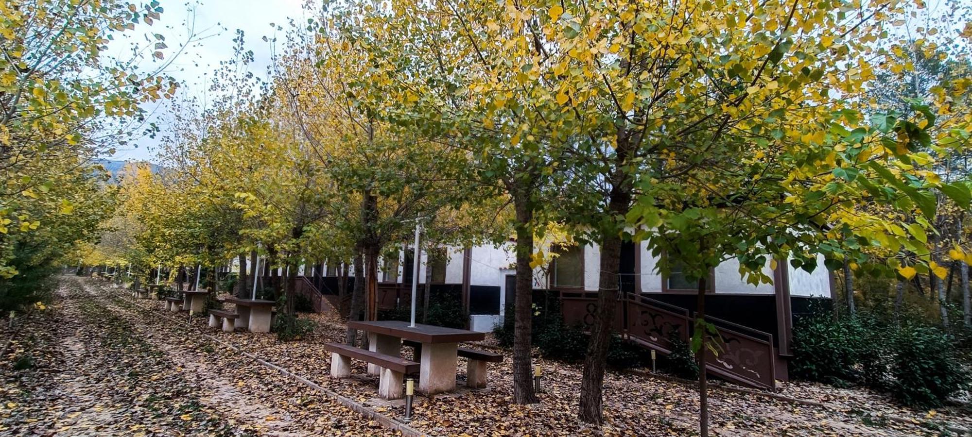 Casas Rurales Vado Del Rio Tus Кортихо-Прадос Экстерьер фото
